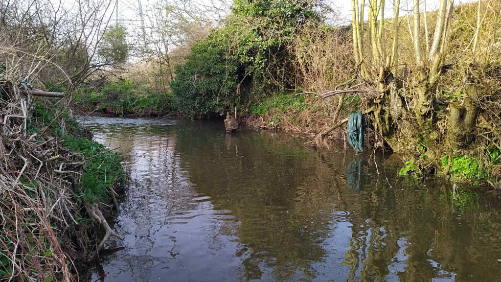 Photo looking upstream with Pylons nearby